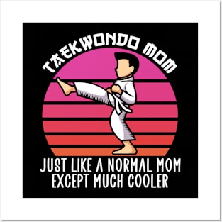 taekwondo mom except much cooler Posters and Art